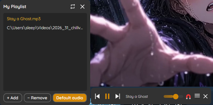 Music player playlist panel
